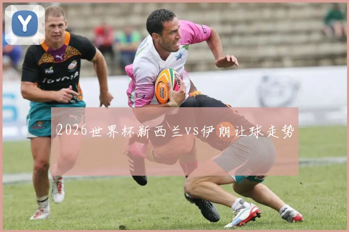 2026世界杯新西兰vs伊朗让球走势