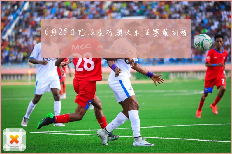 6月25日巴拉圭对澳大利亚赛前训练