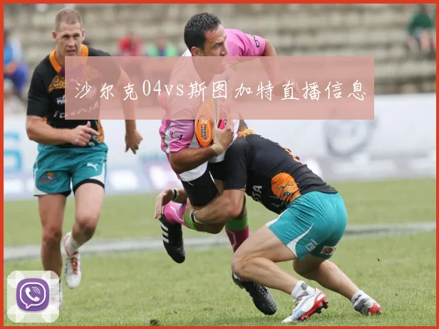 沙尔克04vs斯图加特直播信息