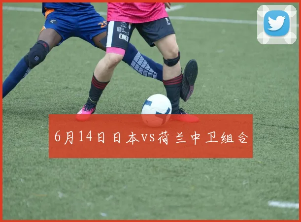 6月14日日本vs荷兰中卫组合